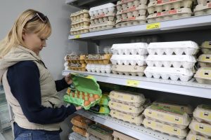 Ждать ли нижегородцам повышения цен на яйца? Спросили у экспертов