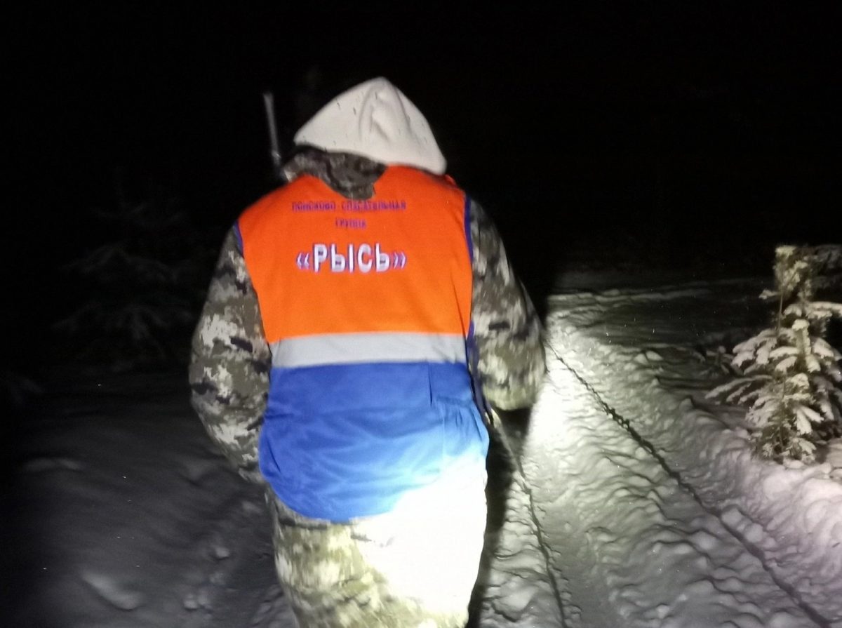 87-летний мужчина насмерть замерз в лесу в Выксе