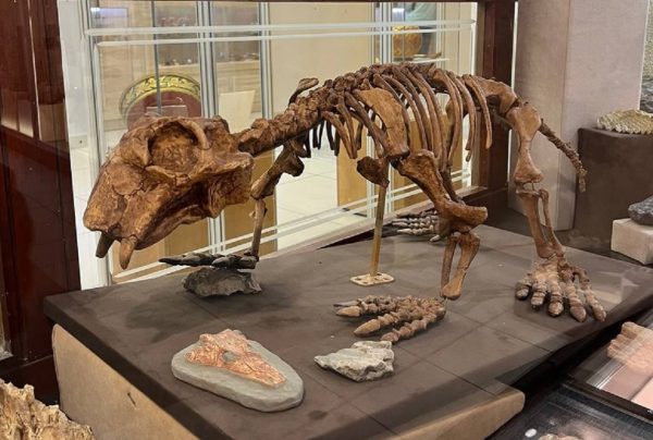 Нижегородцам рассказали о динозаврах, обитавших на территории региона