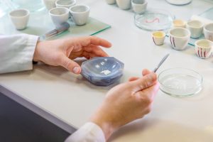 Нижегородские ученые разработали материал для очистки промышленных отходов