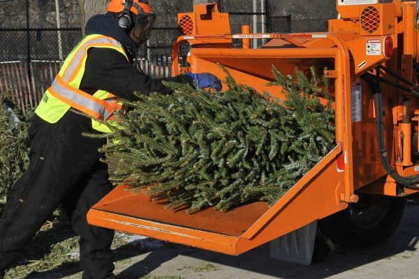 Прием живых елок и веток на переработку проходит в Нижнем Новгороде до 14 января