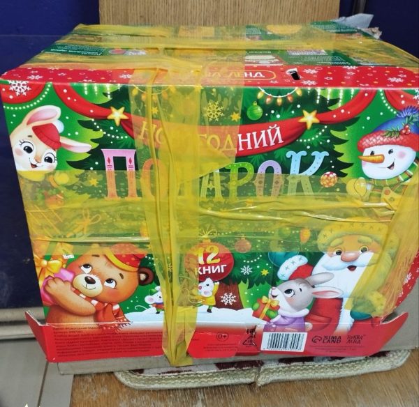 Кошку с больными котятами подкинули в приют в Нижнем Новгороде