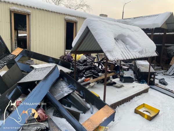 Приют для животных в Нижнем Новгороде открыл сбор средств после пожара