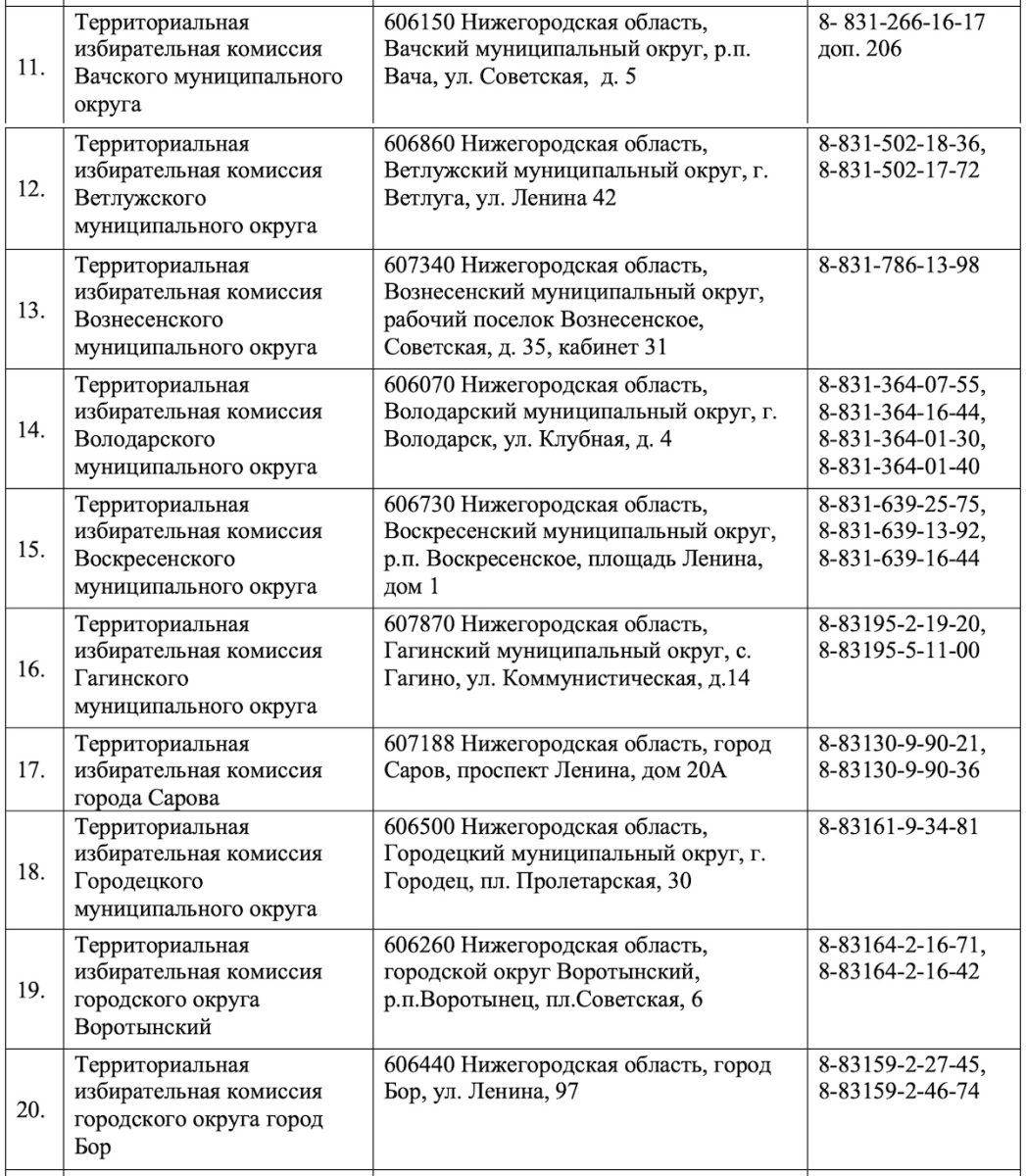 Фото: Избирательная комиссия Нижегородской области