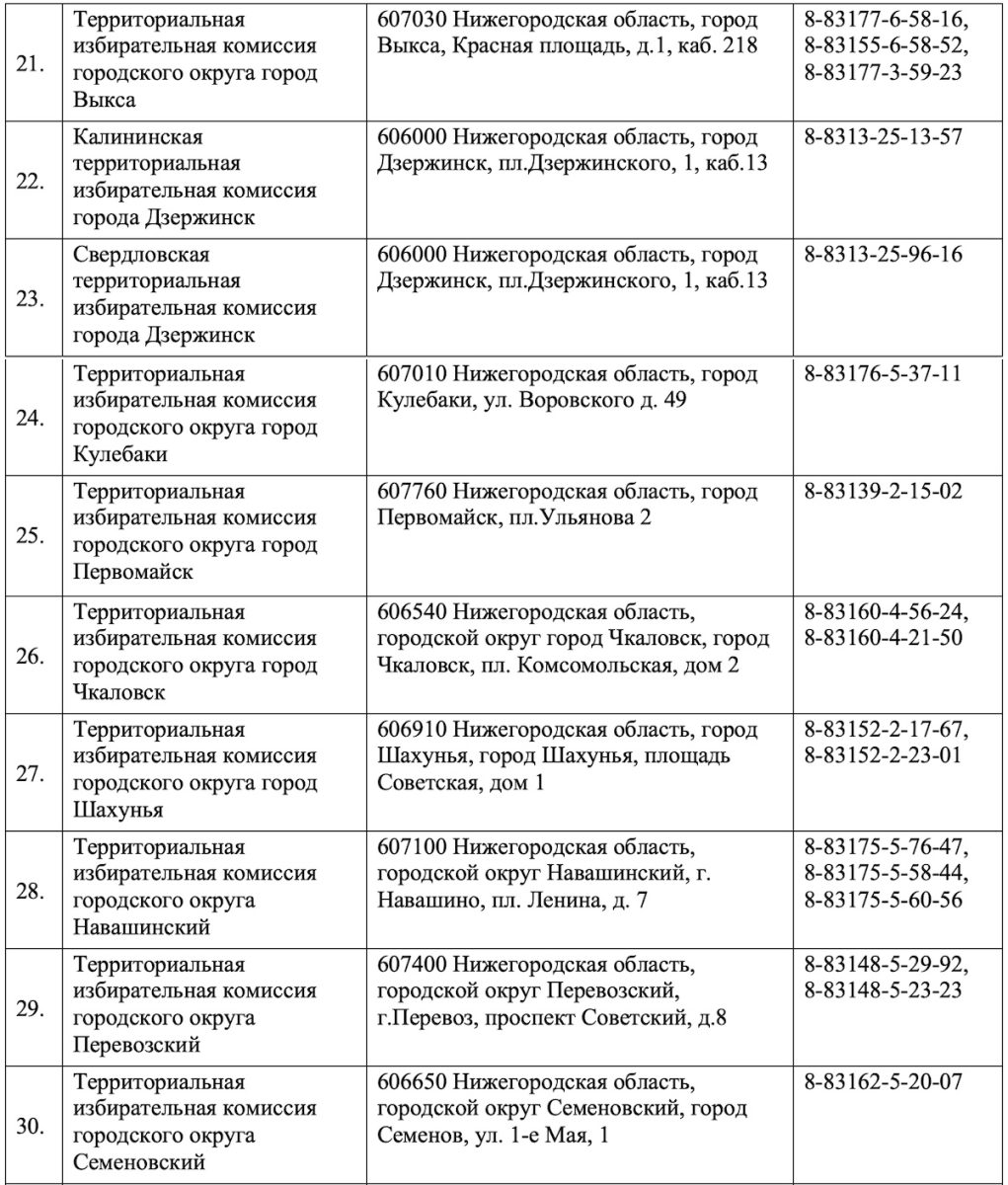 Фото: Избирательная комиссия Нижегородской области