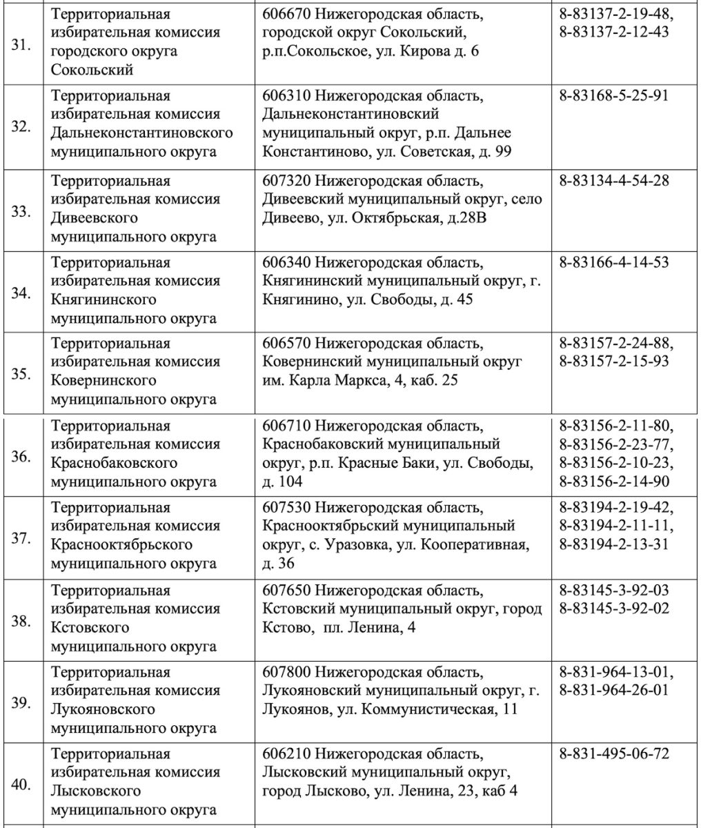Фото: Избирательная комиссия Нижегородской области