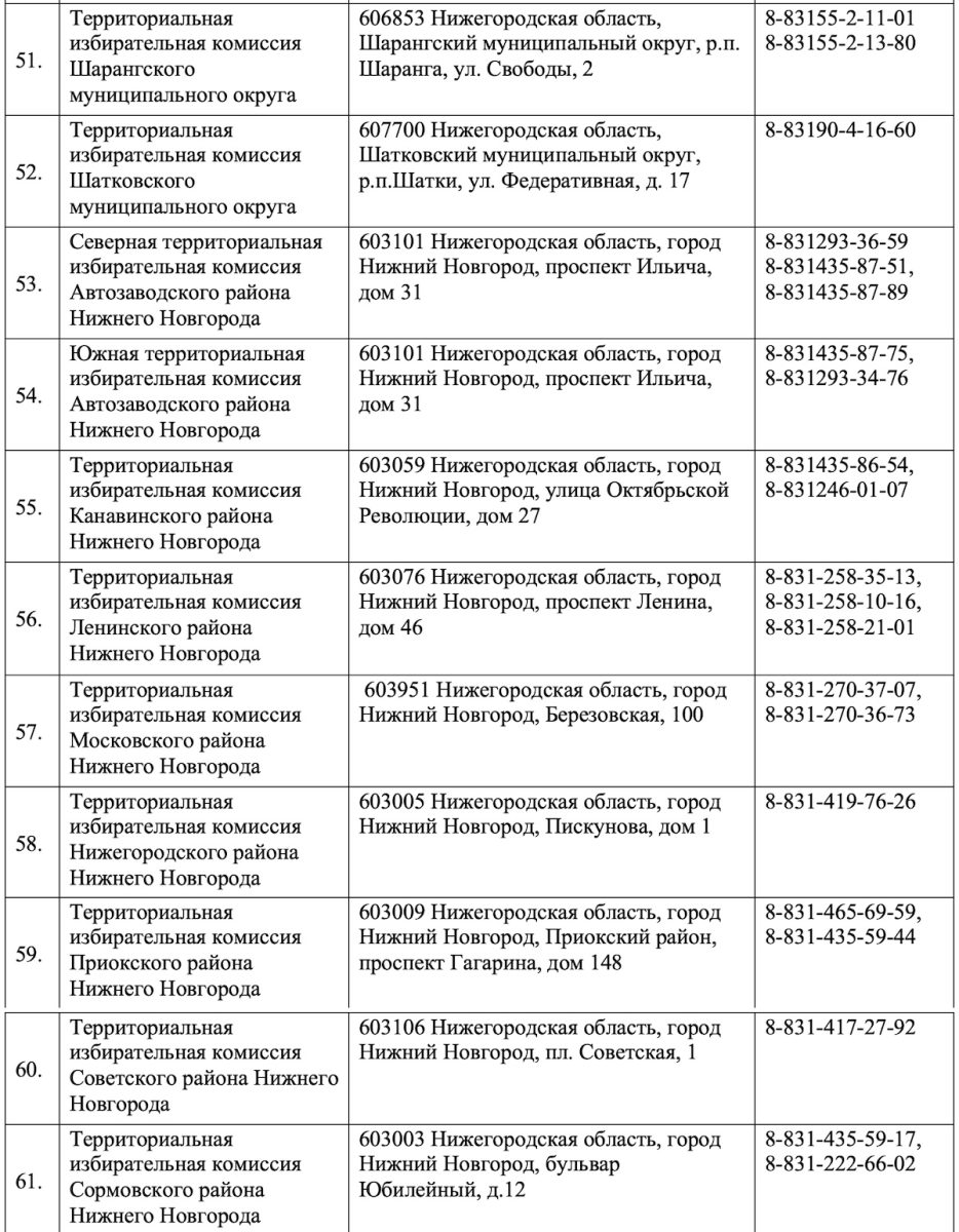 Фото: Избирательная комиссия Нижегородской области