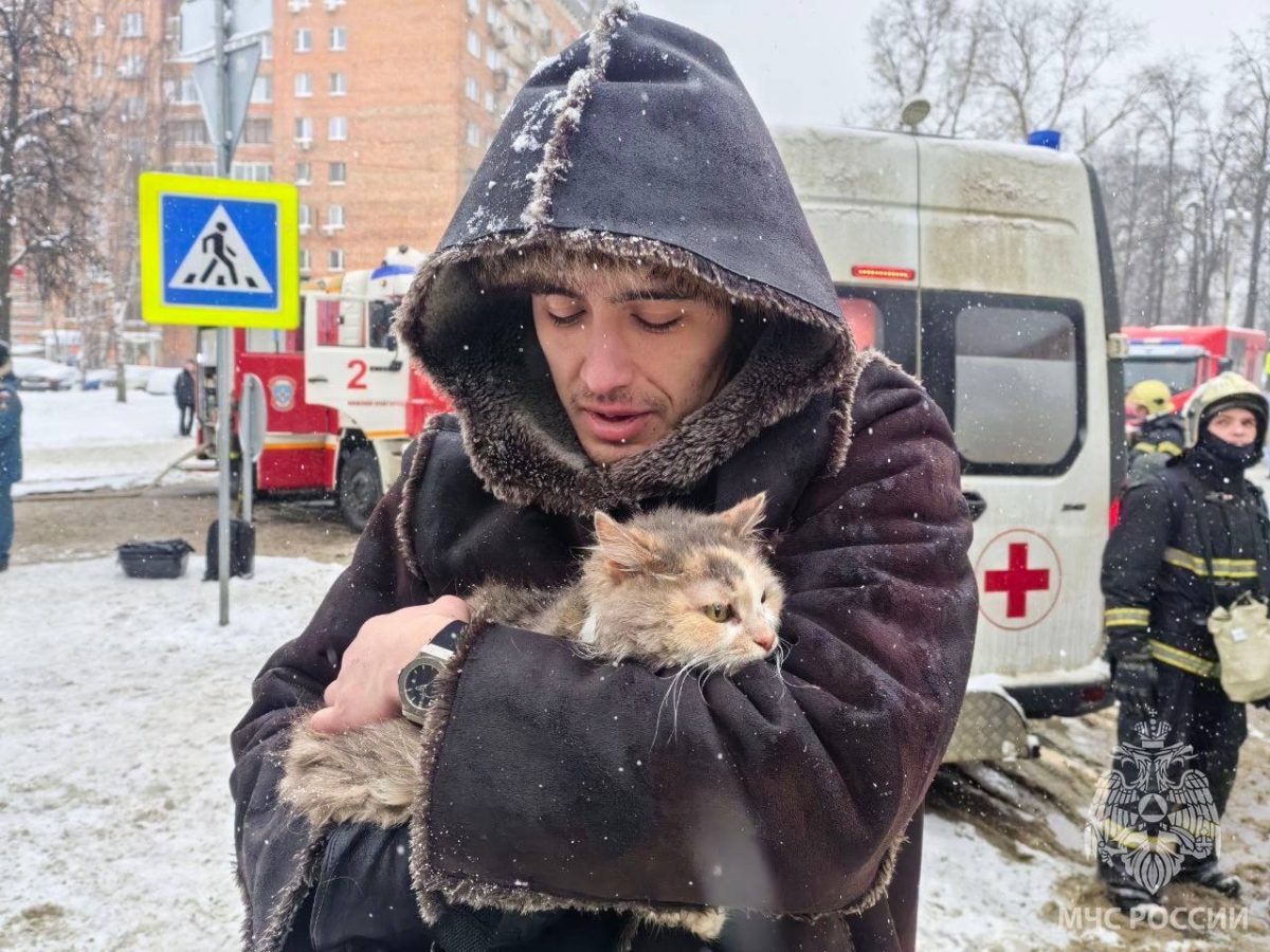 Кошку Фросю спасли при пожаре в историческом доме на Звездинке в Нижнем  Новгороде 16 января 2024 года | Нижегородская правда