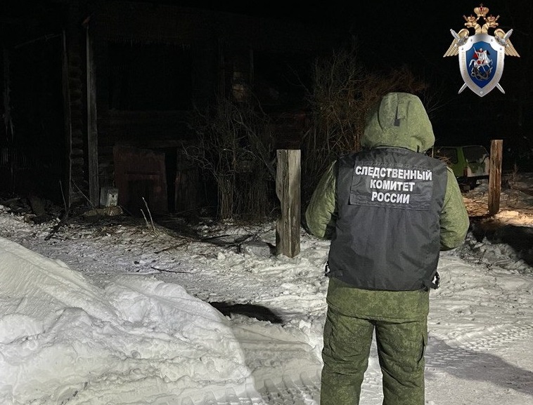 Следователи СК выясняют причину гибели нижегородки и ее дочки при пожаре