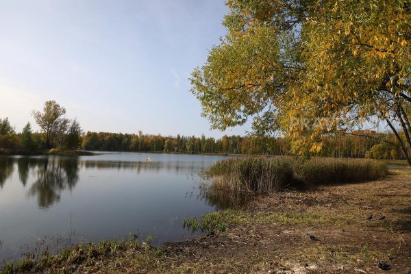 Озеро Светлояр в Нижегородской области вошло в топ‑7 «мест силы» России