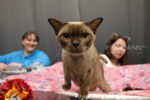 Приметы на 11 апреля: что можно и чего нельзя делать в этот&nbsp;день