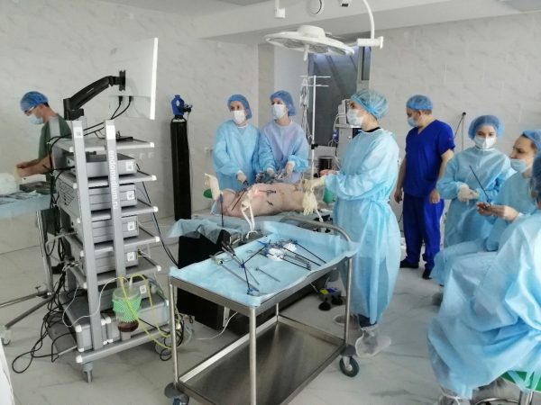 Первую операцию сделали свинье в нижегородском центре экспериментальной хирургии