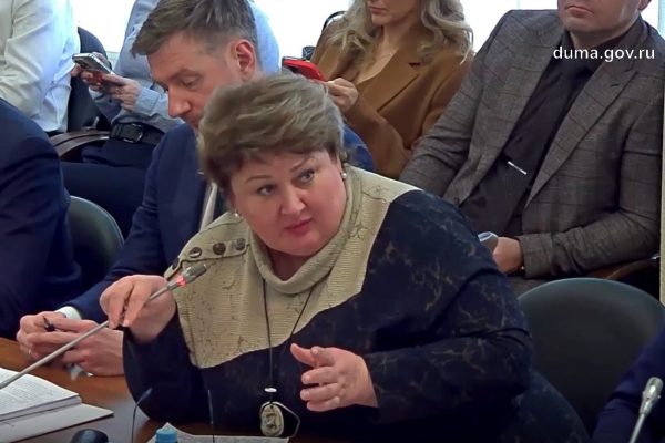 Альбина Разина представила нижегородский опыт по поддержке семейного предпринимательства в Госдуме РФ