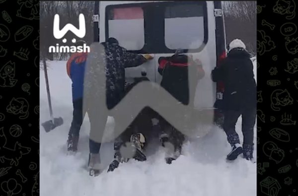 Скорая помощь с пациентом застряла в снегу в Володарском округе