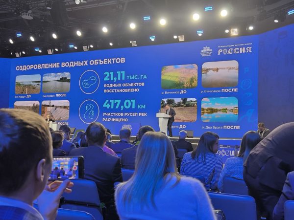 Расчистку русла Вичкинзы в Нижегородской области отметили в числе лучших практик по оздоровлению рек на Дне экологии на&nbsp;ВДНХ