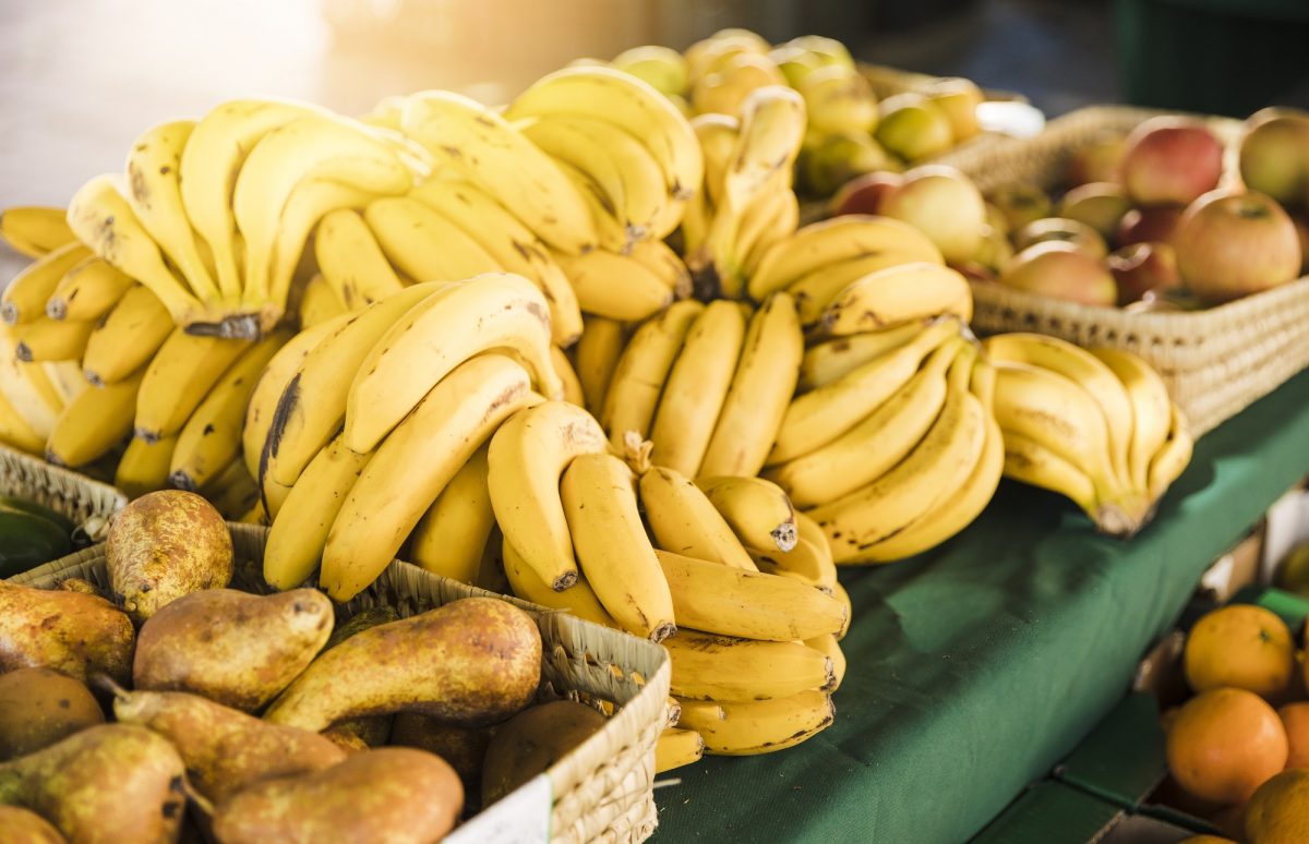 Биолог рассказал, можно ли выращивать бананы в Нижегородской области