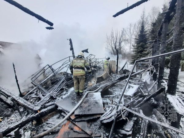 Стали известны подробности смертельного пожара в Богородском округе