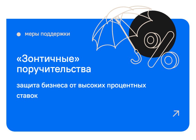 Нижегородский бизнес в 2023 году на 10% увеличил объем привлеченных средств под «зонтичные» поручительства