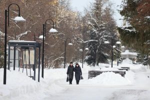 В Нижнем Новгороде ищут подрядчика для благоустройства шести территорий