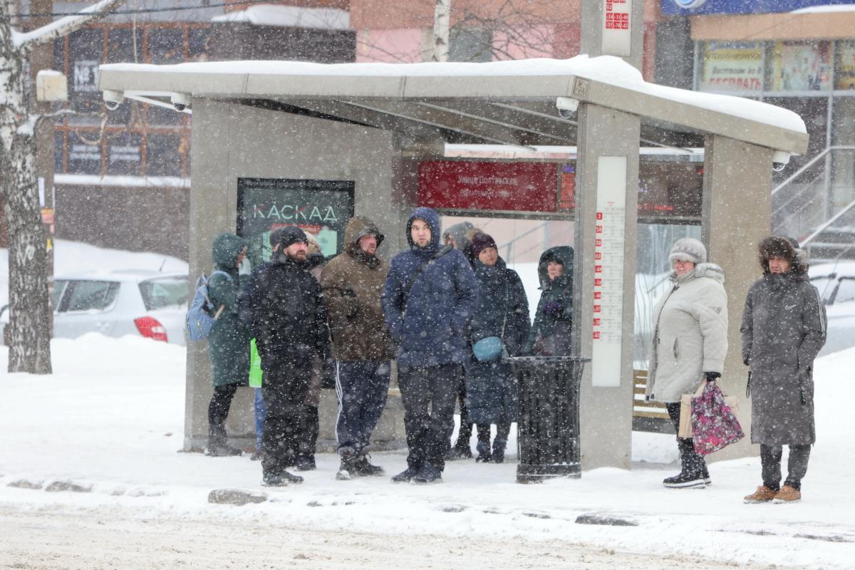 В России предлагают разрешить дистанционную работу в снегопад