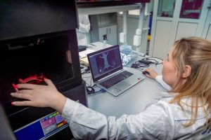 Ученые ННГУ разработали уникальный метод оценивания эффективности лечения рака