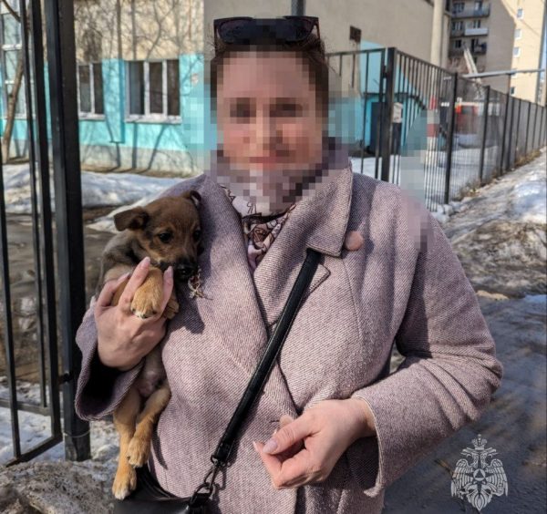 Щенка спасли при пожаре на улице Народной в Московском районе
