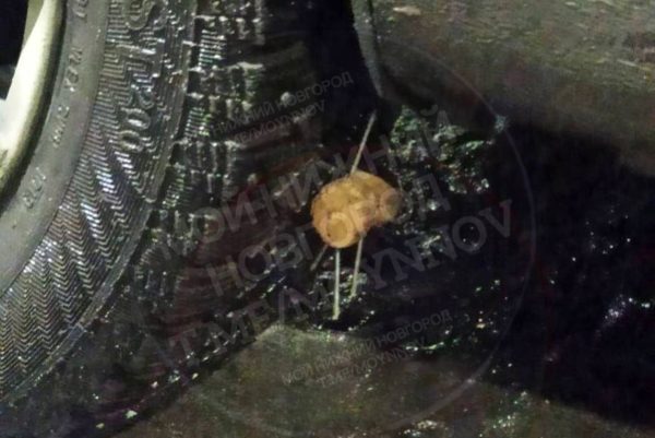 Самодельных «ежей», прокалывающих шины, обнаружили на дорогах в Нижнем Новгороде