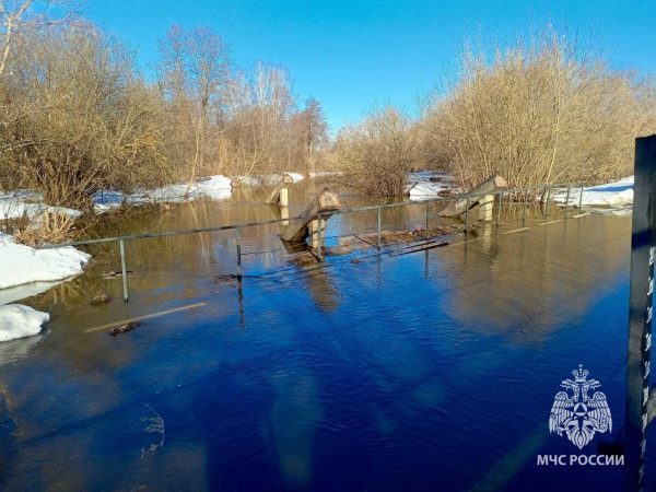 Три моста затопило из-за весеннего паводка в Нижегородской области