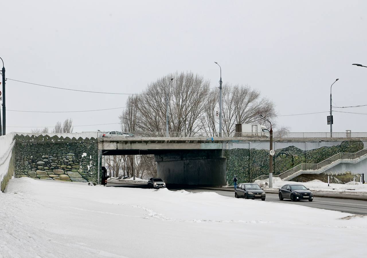 Крокодила могут убрать после ремонта Канавинского моста в Нижнем Новгороде  3 марта 2024 года | Нижегородская правда