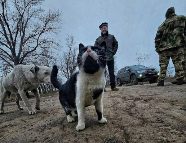 Нижегородским депутатам пришлось откупаться от банды пушистиков под Донецком
