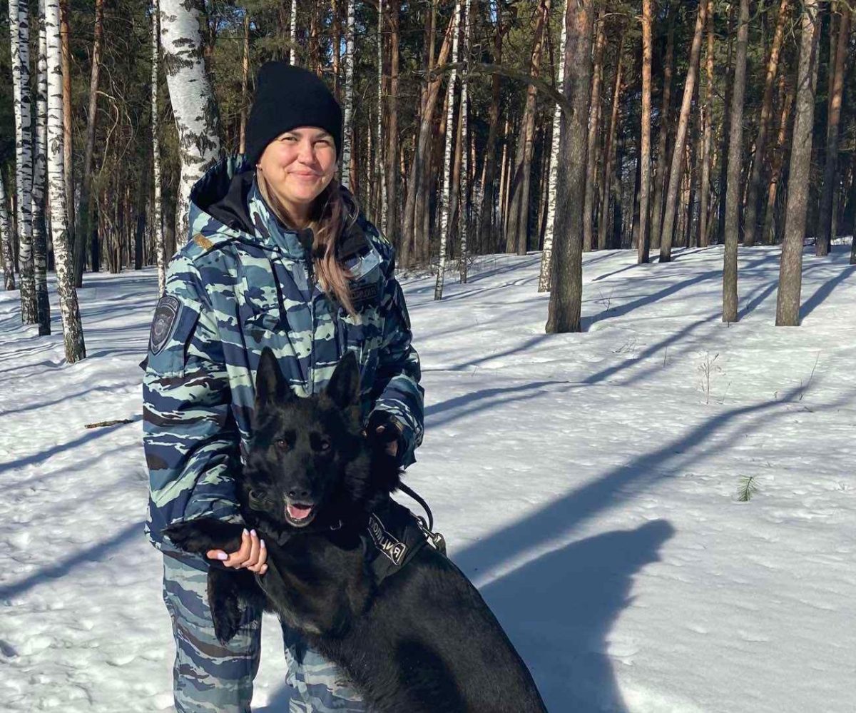 Собака помогла задержать грабителя, сорвавшего цепочку с женщины в Дзержинске