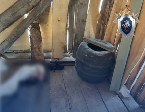 Пенсионерку убили и похитили старинные вещи в Ветлуге