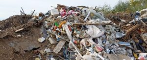 Арендатор участка на Ванеева заплатит 4,9 млн рублей за нелегальную свалку