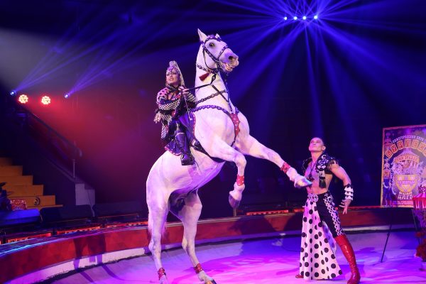 Гастроли шоу Гии Эрадзе «Бурлеск» в Нижегородском цирке продолжаются