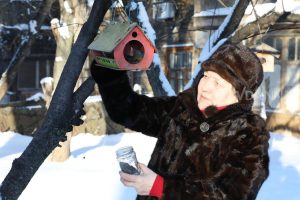 Нижегородцам напомнили, как правильно кормить птиц