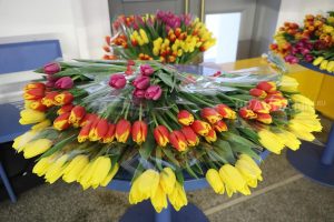 Опубликована программа к Международному женскому дню в Нижнем Новгороде