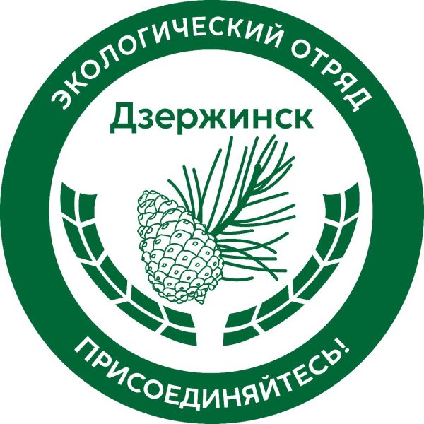 Экологический отряд главы города Дзержинска начнет свою работу с 20 апреля