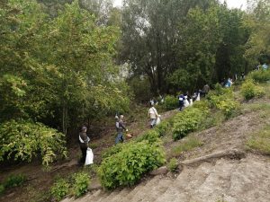 Нижегородская область 20 апреля присоединится к всероссийской акции экологических субботников