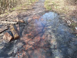 В Богородске начали проверку из-за затопления участков сточными водами