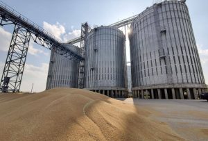 Большие открытия: почти 200 сельхозпроектов будут реализованы в Нижегородской области