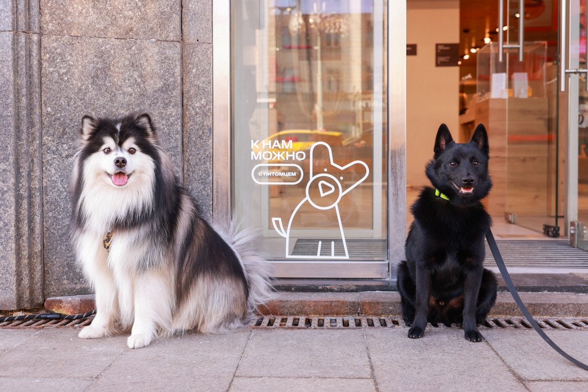 МТС в Нижегородской области открыла свои магазины для домашних животных