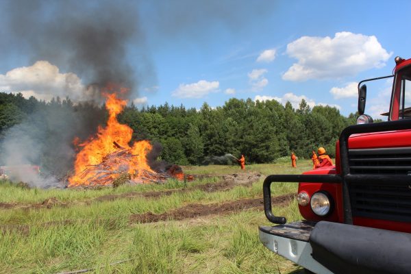 В лесах Нижегородской области объявлен пожароопасный сезон