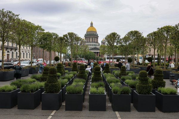 Сады-трансформеры появятся к лету в трёх районах Петербурга