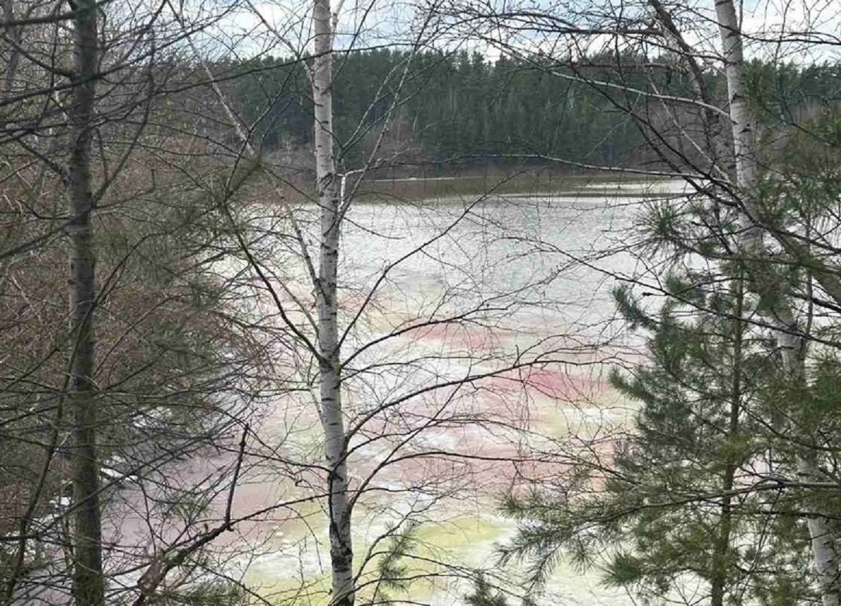 В Дзержинске выясняют причину появления цветного льда на озере