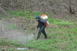 Может ли ДУК тратить деньги на обработку дворов от клещей