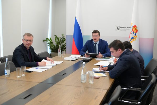 Глеб Никитин и Игорь Левитин провели заседание комиссии Госсовета по экологии