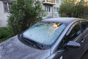 Мокрый снег выпадет в Нижнем Новгороде 7 и 8&nbsp;мая