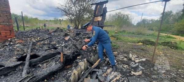 МЧС опубликовало фото с места смертельного пожара под Лукояновом