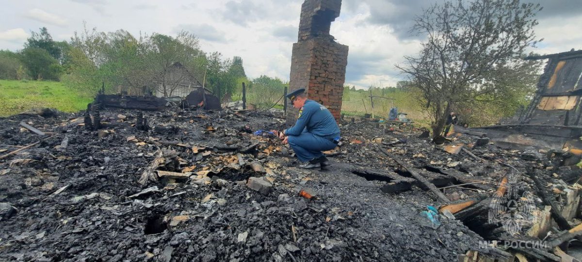 Мужчина и ребенок погибли на пожаре в Лукояновском районе