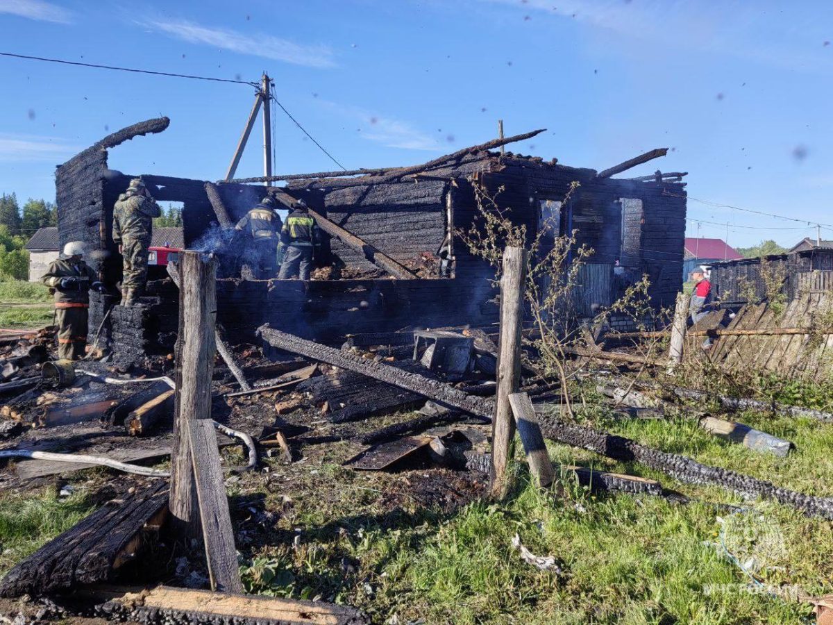 Семья с двухлетним ребенком погибла на пожаре под Выксой
